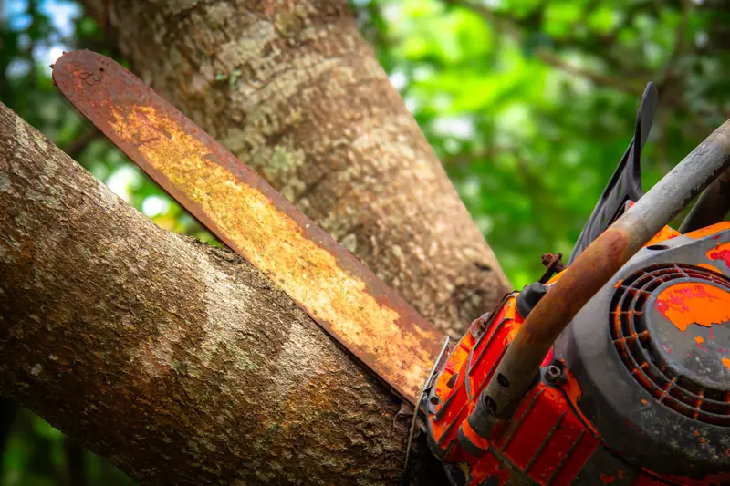Tree service work