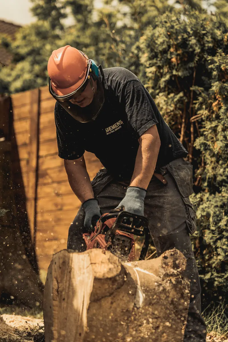 Tree service work