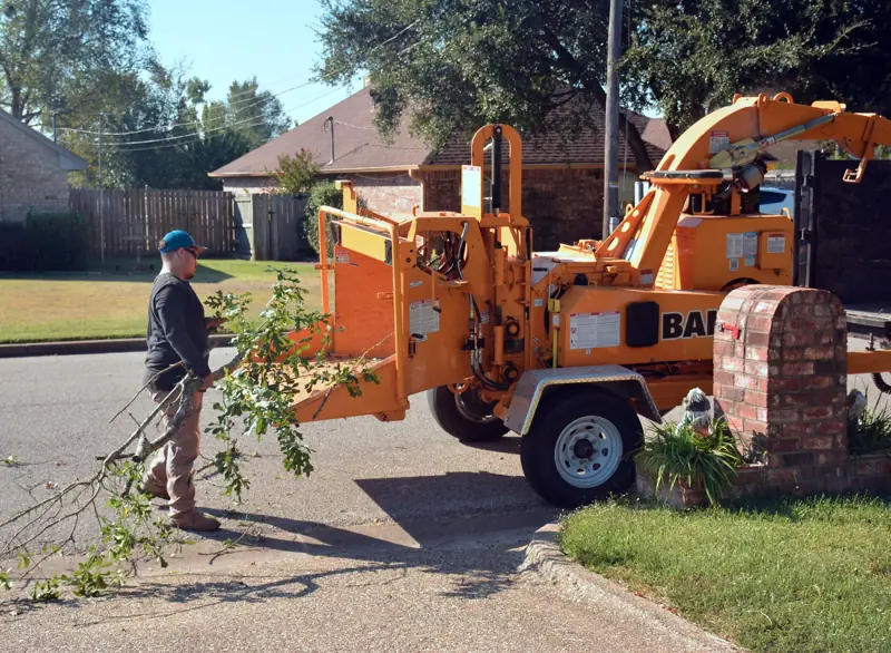 Tree service work