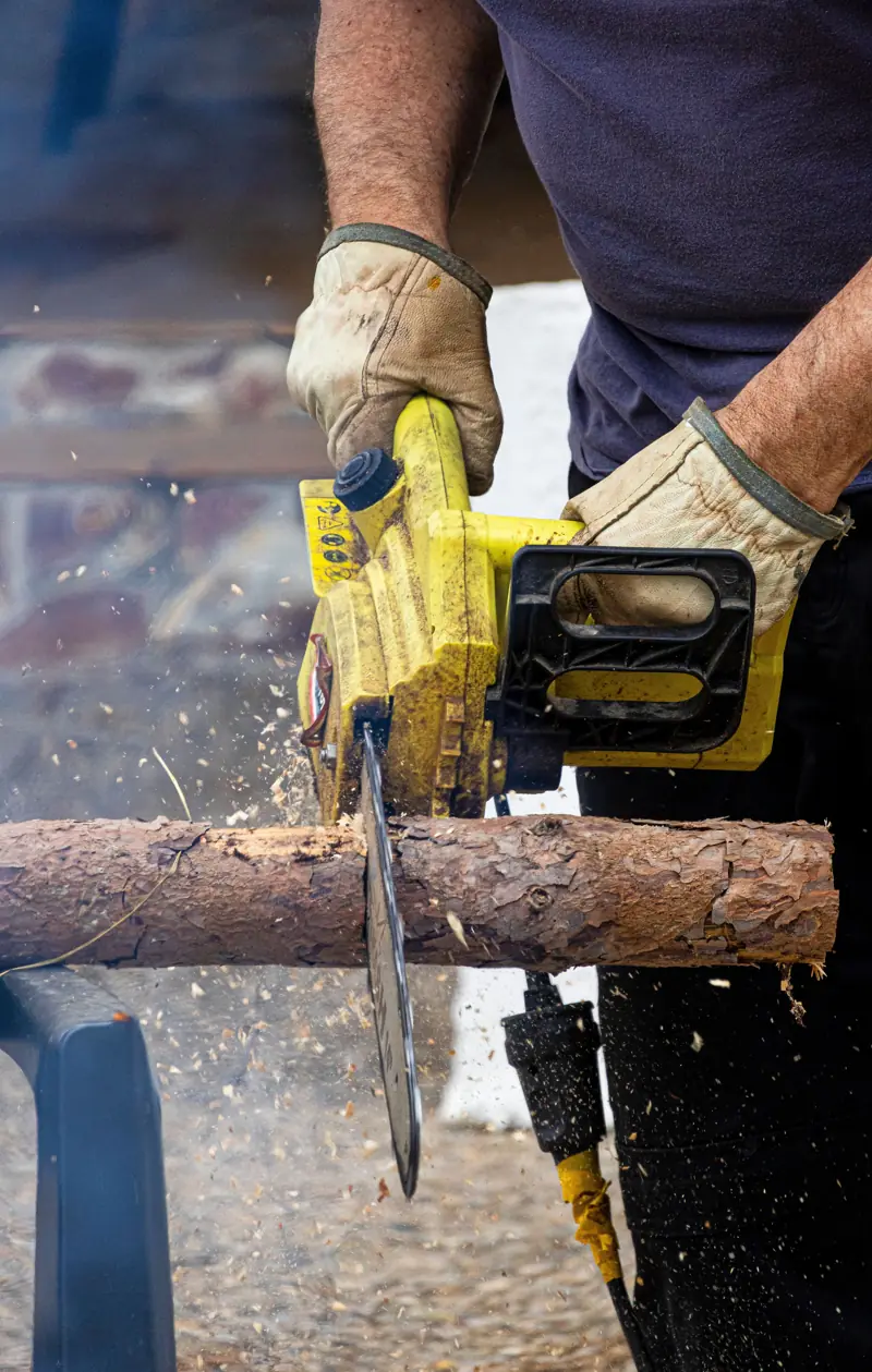 Tree service work