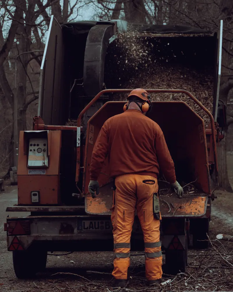 Tree service work