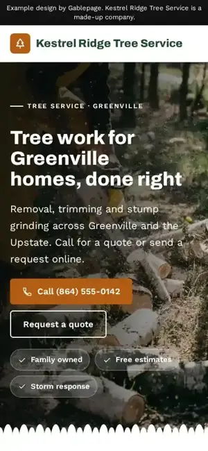 Example website on a phone